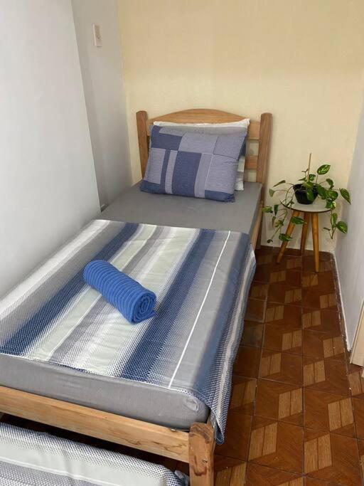 Apartamento No Coracao De Recife 3 Centro Exteriör bild